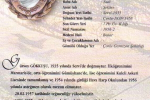Şehit Hv.Plt.Tğm. Gürsoy Gökkuşu