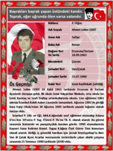A. Selim Cerit - görsel