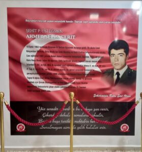 A. Selim Cerit - görsel