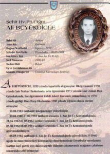 Ali Büyükdicle - görsel