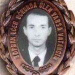 Ali Büyükdicle