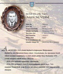 Asım SEVDİM - görsel