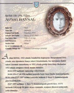 Ayhan Baysal - görsel