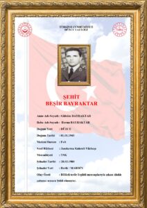 Beşir Bayraktar - görsel