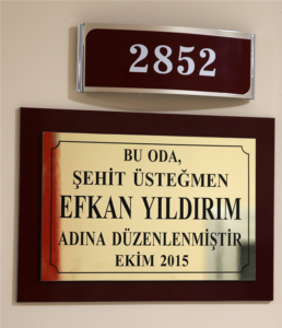 Efkan Yıldırım - görsel