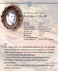 Erdoğan Çelik - görsel