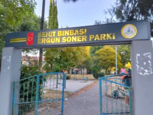 Ergün Soner - görsel