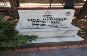 Erol Uykusuz - görsel