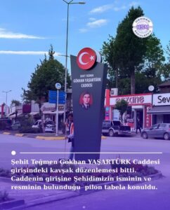 Gökhan Yaşartürk - görsel
