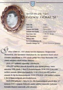 Gürsoy Gökkuşu - görsel