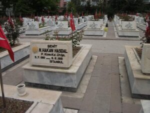 Hakan Hasdal - görsel