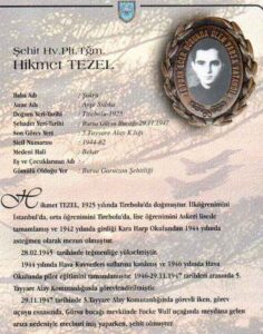 Hikmet TEZEL - görsel