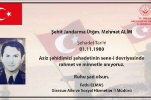 Mehmet Alim - görsel