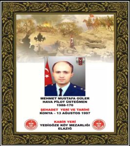 Mehmet Mustafa Güler - görsel
