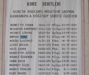 Rıdvan TERZİ - görsel