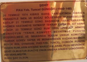 Tuncel Güngör - görsel