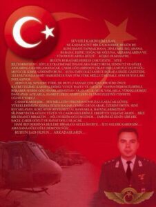 Ulaş Türk - görsel